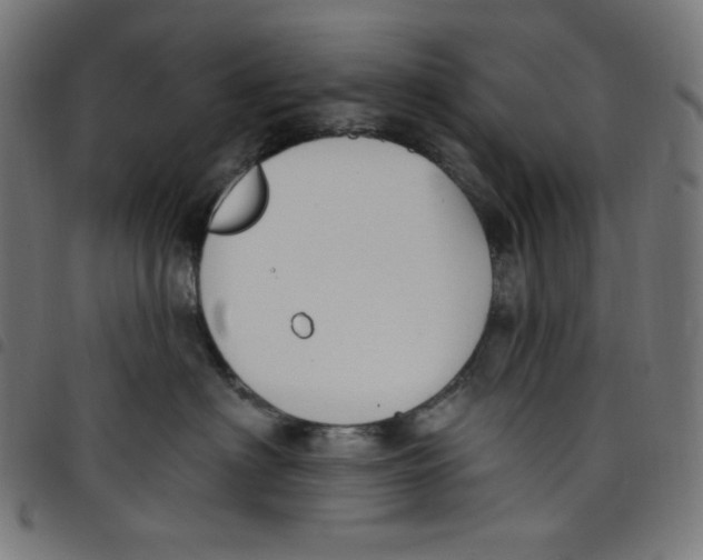 X0000098090622200804251256