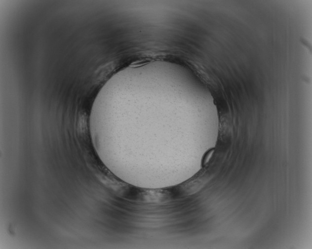 X0000098090623200804251256