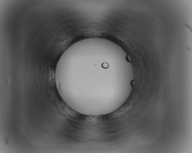 X0000098090624200804251256