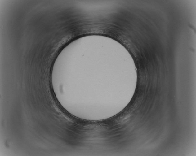 X0000098090625200804251255