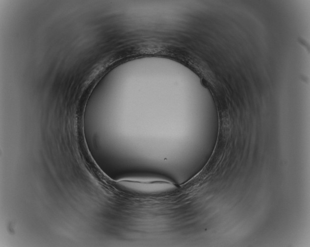 X0000098090626200804251255