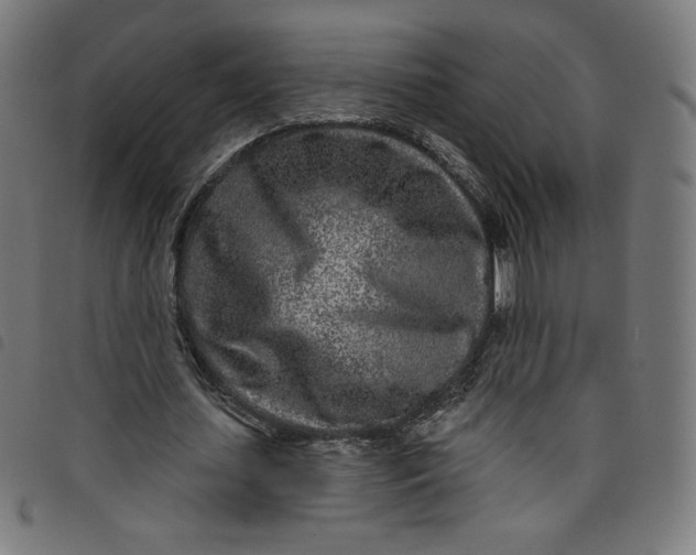 X0000098090627200804251255