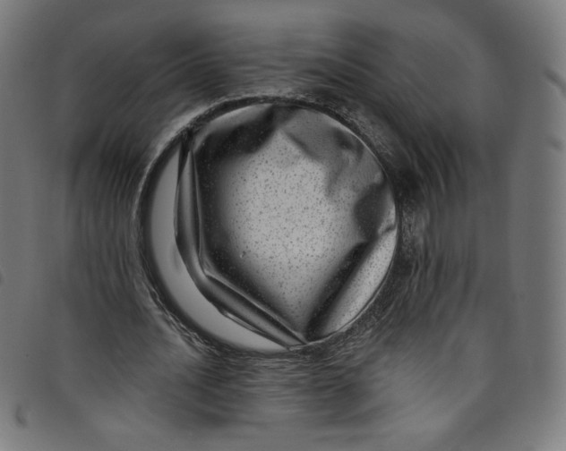 X0000098090628200804251255