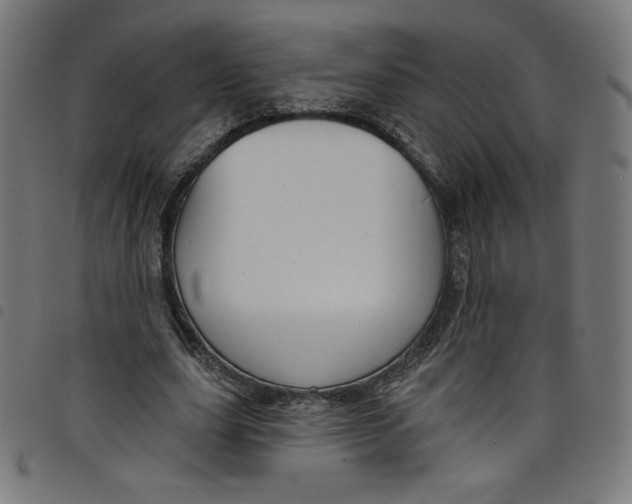 X0000098090631200804251255