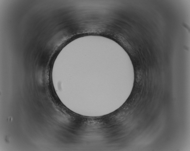 X0000098090632200804251255