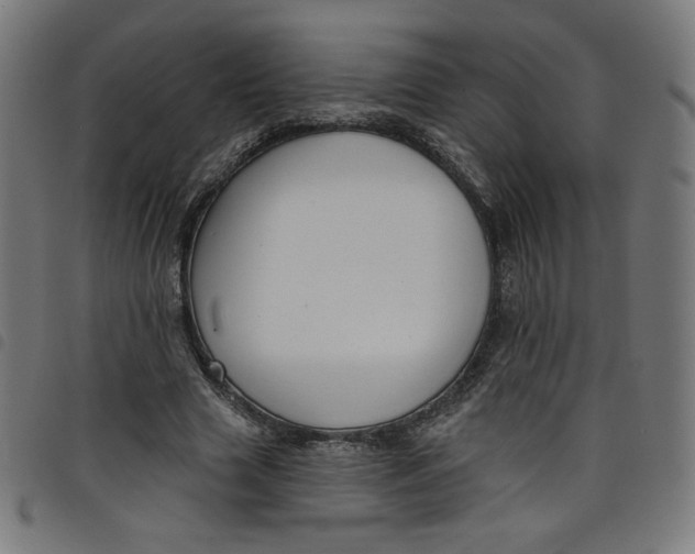 X0000098090633200804251255