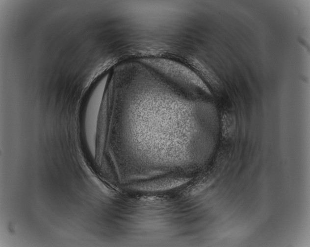 X0000098090634200804251255