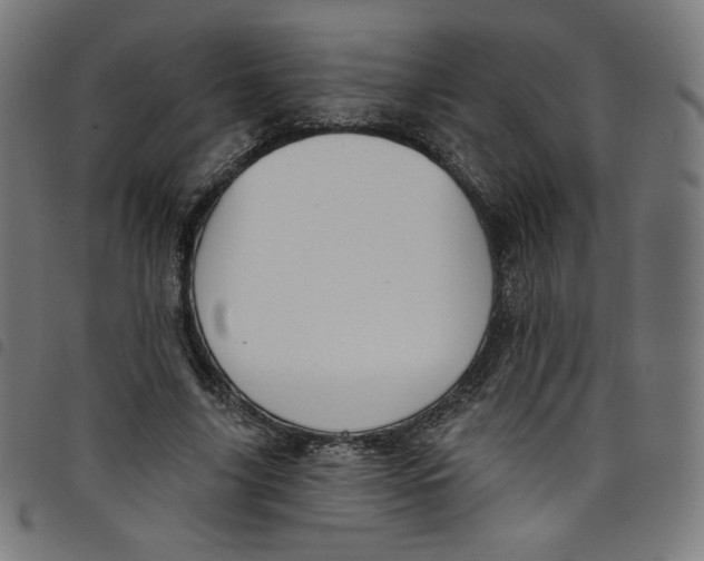 X0000098090635200804251255