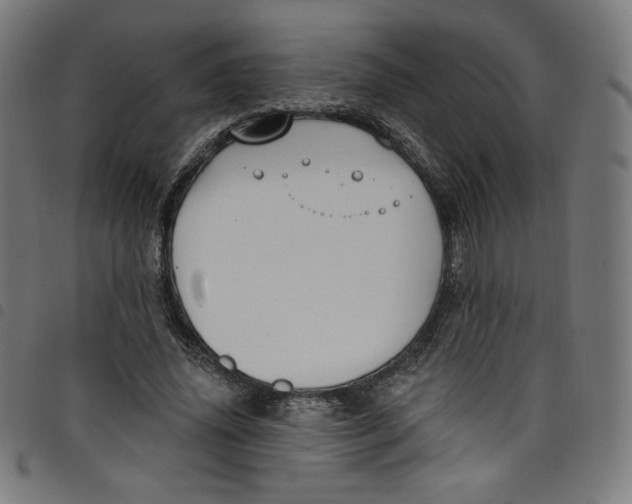 X0000098090636200804251255