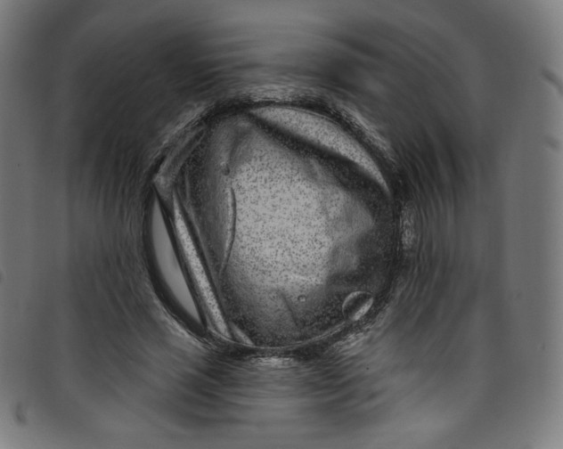 X0000098090637200804251255