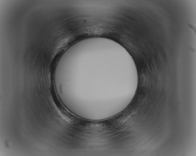 X0000098090638200804251255