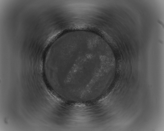 X0000098090640200804251255