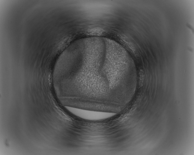 X0000098090641200804251256