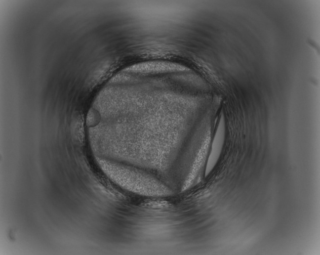 X0000098090642200804251256