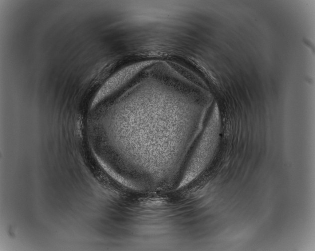 X0000098090643200804251256