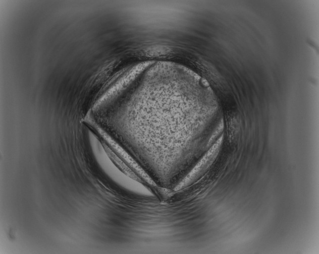 X0000098090644200804251256