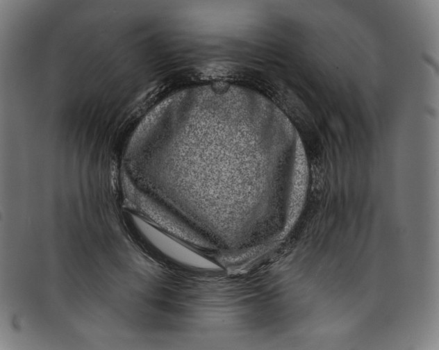 X0000098090648200804251256