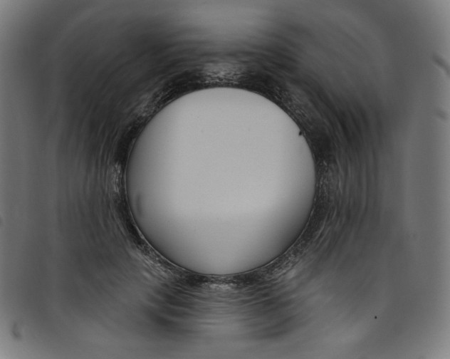 X0000098090649200804251256