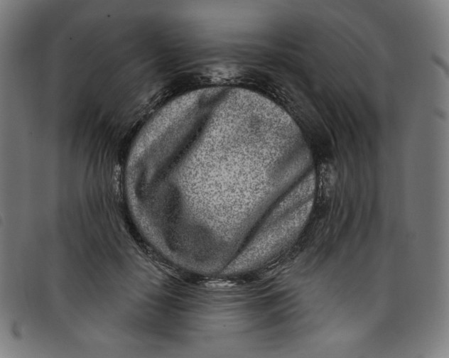 X0000098090650200804251256