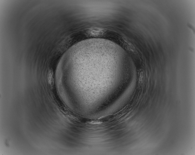 X0000098090651200804251256