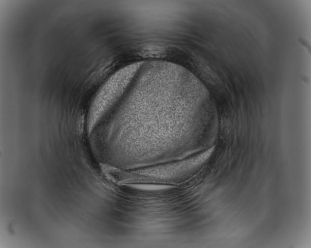 X0000098090652200804251256