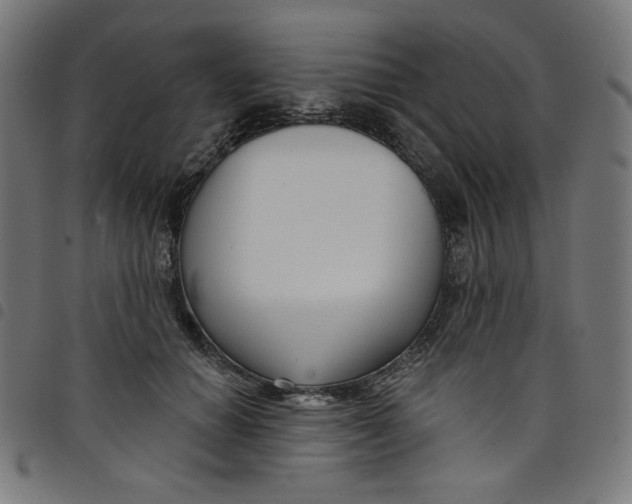 X0000098090654200804251256