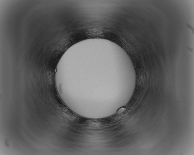 X0000098090658200804251256