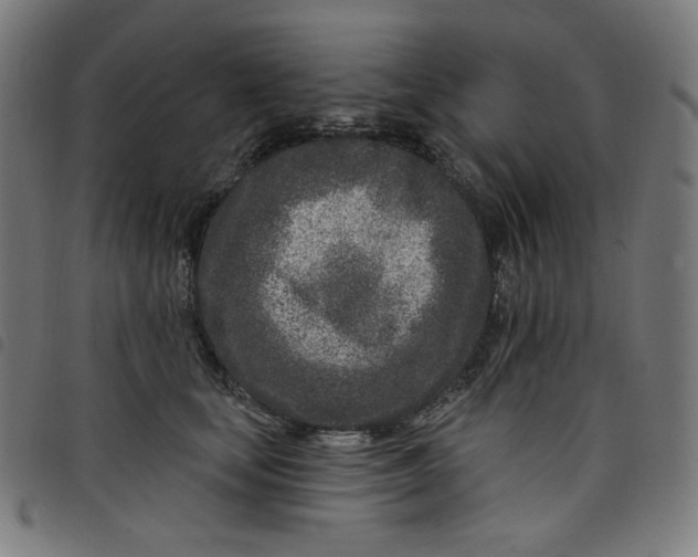 X0000098090659200804251256