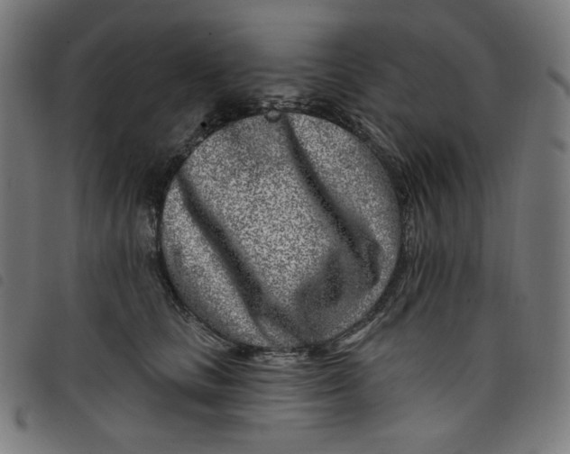 X0000098090661200804251256