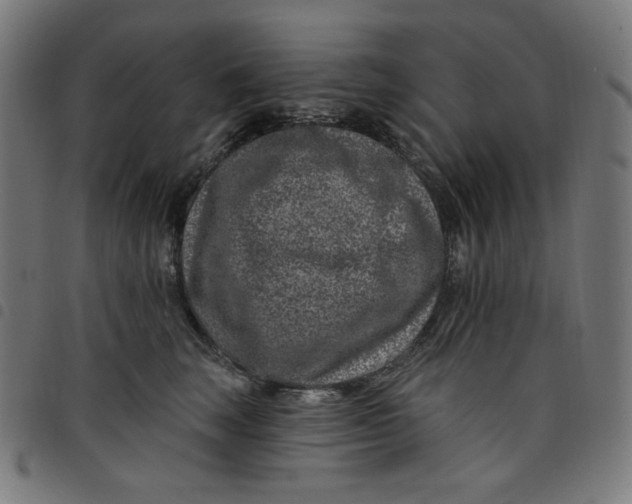 X0000098090663200804251256