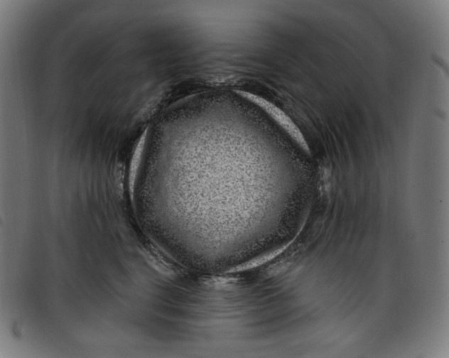 X0000098090664200804251256