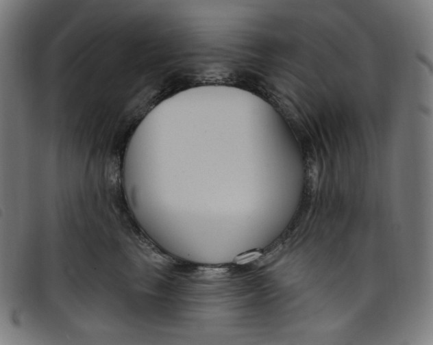 X0000098090665200804251256