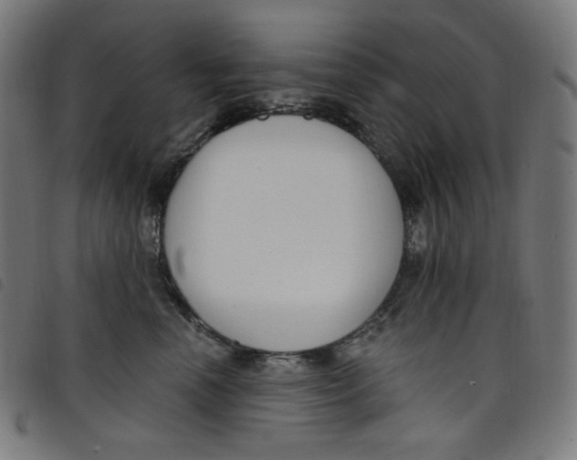 X0000098090666200804251256