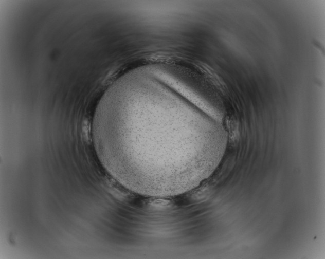 X0000098090669200804251256