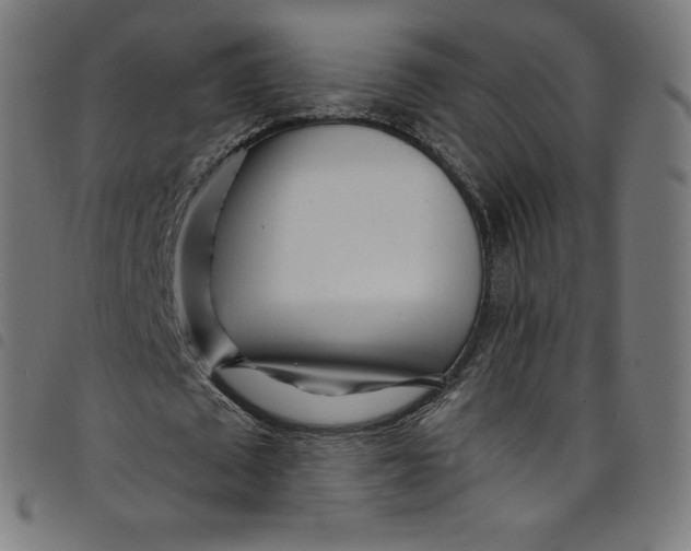 X0000098090673200804251255