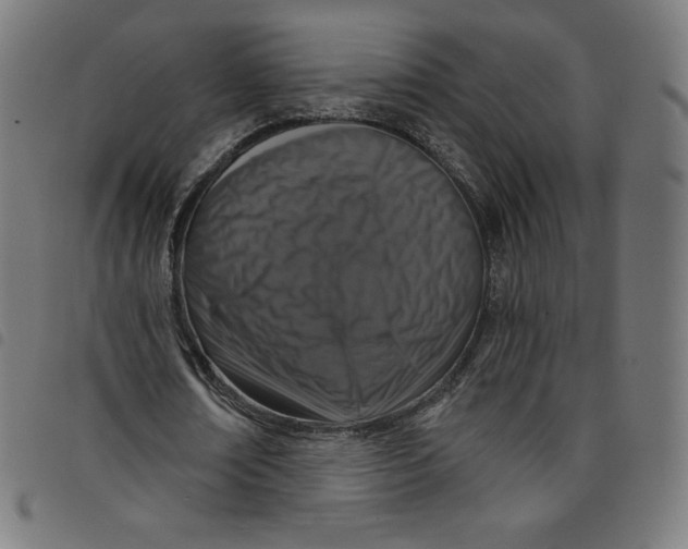 X0000098090674200804251255