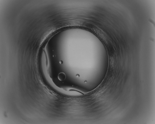 X0000098090676200804251255