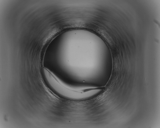 X0000098090677200804251255