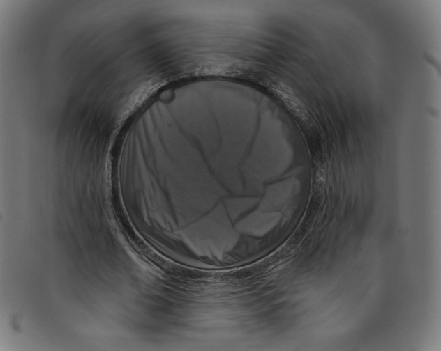 X0000098090678200804251255