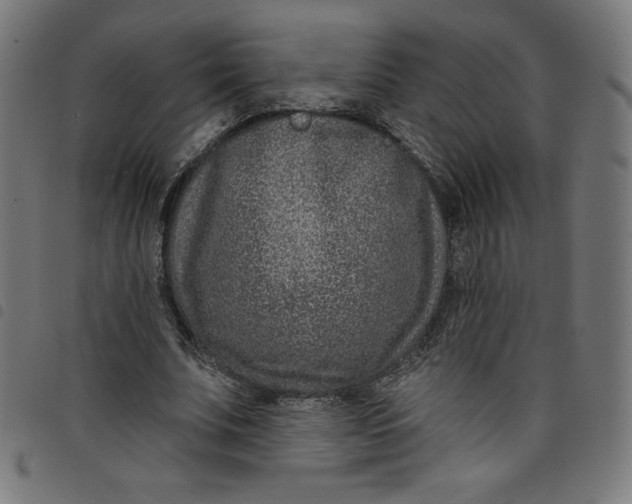 X0000098090679200804251255