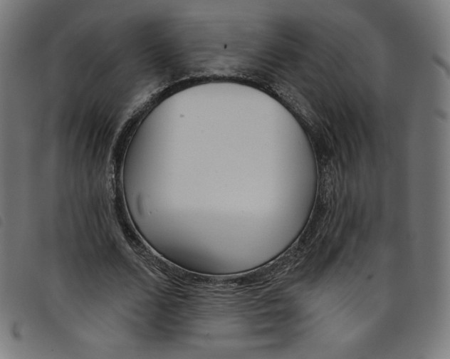 X0000098090680200804251255