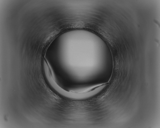 X0000098090681200804251255