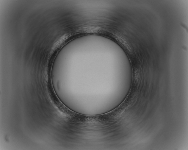 X0000098090682200804251255