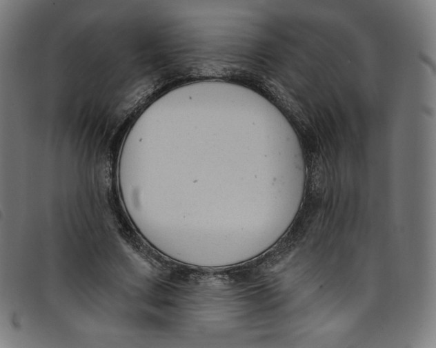 X0000098090683200804251255