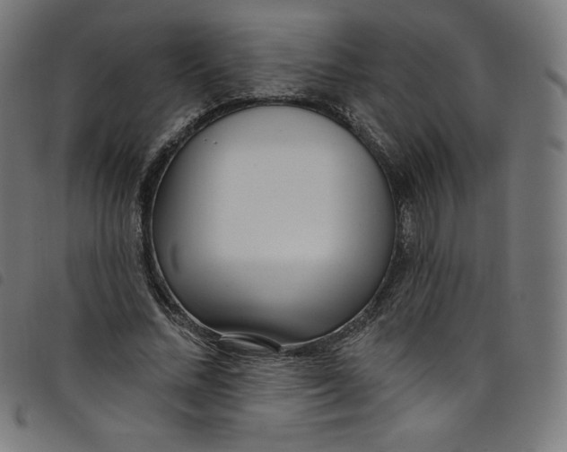 X0000098090684200804251255