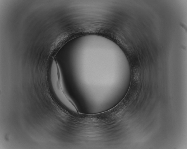 X0000098090685200804251255