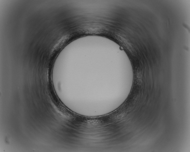 X0000098090686200804251255