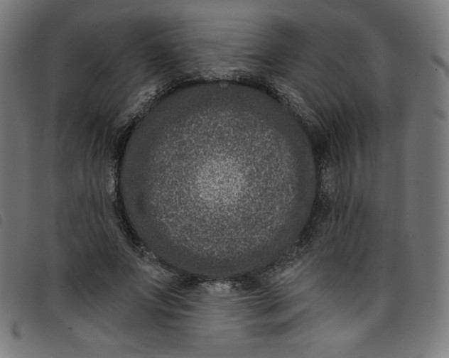 X0000098090687200804251255