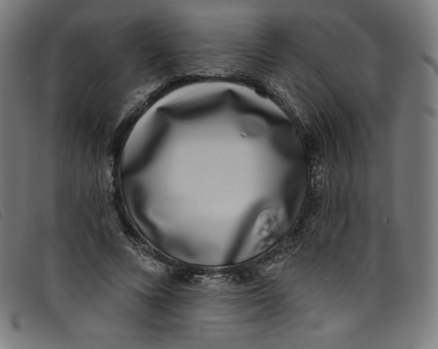 X0000098090688200804251255