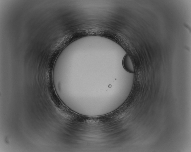 X0000098090690200804251255